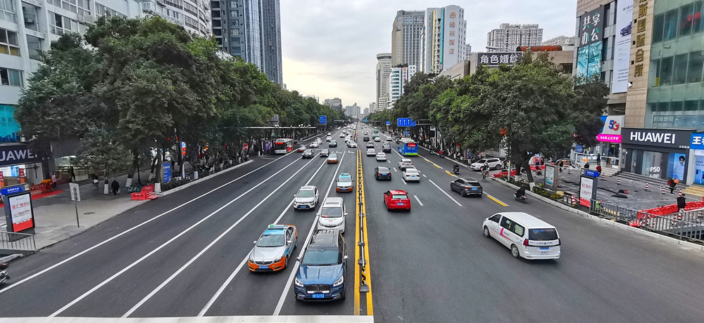 臨園路道路提升工程項目